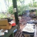 청옥산장 이미지