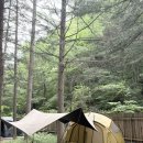 휘게 - 광산구 왕버들로289번길 53 | 평창 휘게포레스트 명당 사이트 추천 B4 장단점 후기
