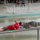 메르시농장 이미지