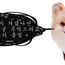 마주봄 애견미용실 이미지