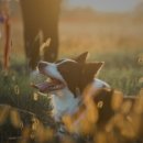 마린파크 동물병원 이미지