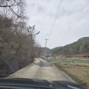 대암 팜트리 이미지