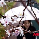 진해구 ⓒ-42 이미지