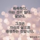 인셀덤우리대리점