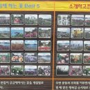 쑥섬이야기