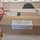 플라젠트(Flasent)