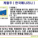 한국메나리니(주) 이미지