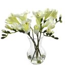 후리지아 이미지