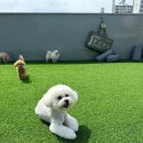 요리조리유치원 이미지