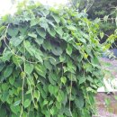 곡은농장 이미지