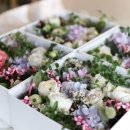 플로리스트 과정 (입문) 이미지