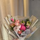 백사초 정문 이미지