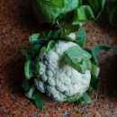 준혁농장 이미지