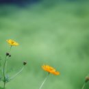 연천삼곶리돌무지무덤 이미지