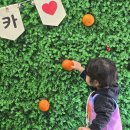 형제카서비스 | 제주도 공항 유모차 카시트 대여 해피렌트카 후기