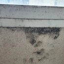 라온약품 이미지