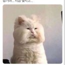 승기농장 이미지