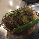 꿀꿀이네 연탄 이미지