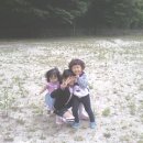 능안운동장 이미지