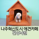 견상낙원 네이버블로그