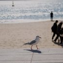 스위트고시텔