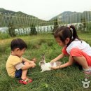 연천목장 이미지