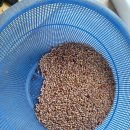 풍년농장 이미지