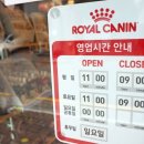 강남펫스타일 이미지