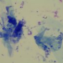 경희궁바른동물병원 이미지