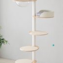 오로라 캣 이미지