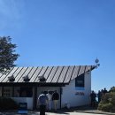 피터스짐 | NZ여행 6일차 | 테카포 호수, 테카포셔틀(피터스 룩아웃, 타스만 빙하, 후커 밸리, 마운트 쿡, 알파인...