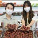 리치 연합뉴스