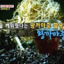 까까중사람들