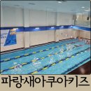 아쿠아키즈 | 대전 유성구 수영장 탑립동 파랑새아쿠아키즈 등록 후기, 주차장, 휴무일, 샤워장 등