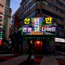 터미널관광나이트 이미지