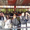 용인대 다정태권도 이미지