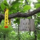 옥남농장 | [마근담계곡] 시무산, 수양산, 벌목봉 산행후기---2013년 6월 30일(일)