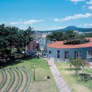 서귀포기적의도서관 이미지