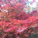 골짜기농장 이미지