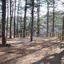 (주)힐링&자연 이미지