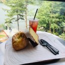 레드브릿지 이미지