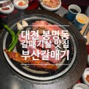 부산갈매기살 | [맛집] 대전 봉명동 맛집 <부산갈매기 대전봉명점> 가성비 갈매기살 세트 후기