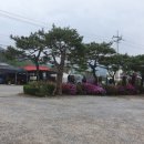 대웅닭갈비막국수 이미지