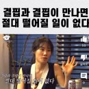 영화 &gt; KU씨네마테크에서 &#39;아노라&#39;