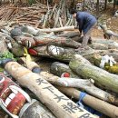 추령장승촌 이미지