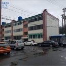 화신동백 이미지