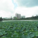 다목적게이트볼장화장실 이미지