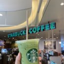 비어드짐(Beard gym) | 1일차 : 이스타항공, 플라자호텔텐진, 후쿠오카아저씨맛집, 비어드파파, 파르코백화점, 모츠나베 이치후지