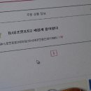 데이지포포