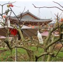 영성농장 이미지